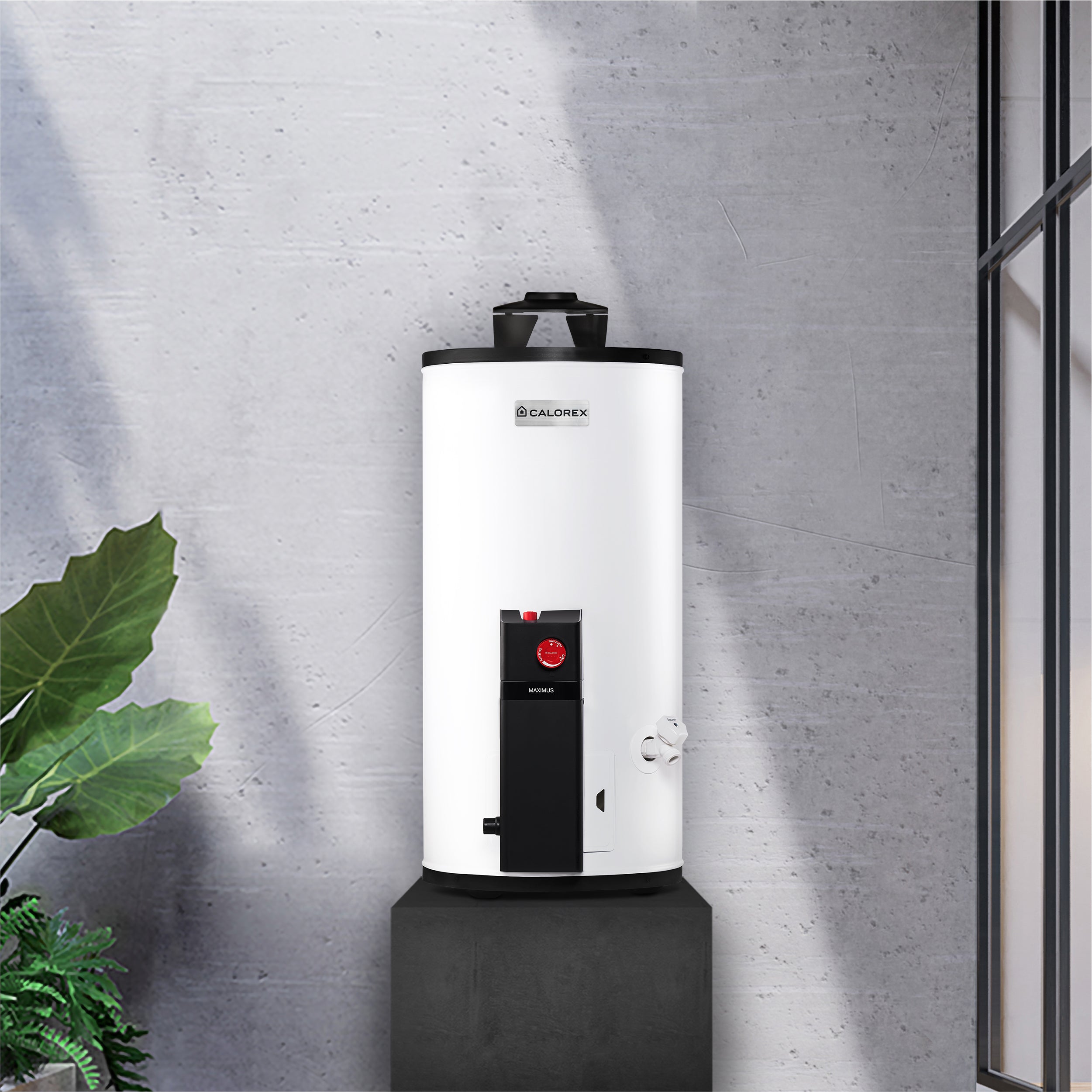 Calentador Calorex G-10 Maximus Gas Natural 38 Lts Generación 2