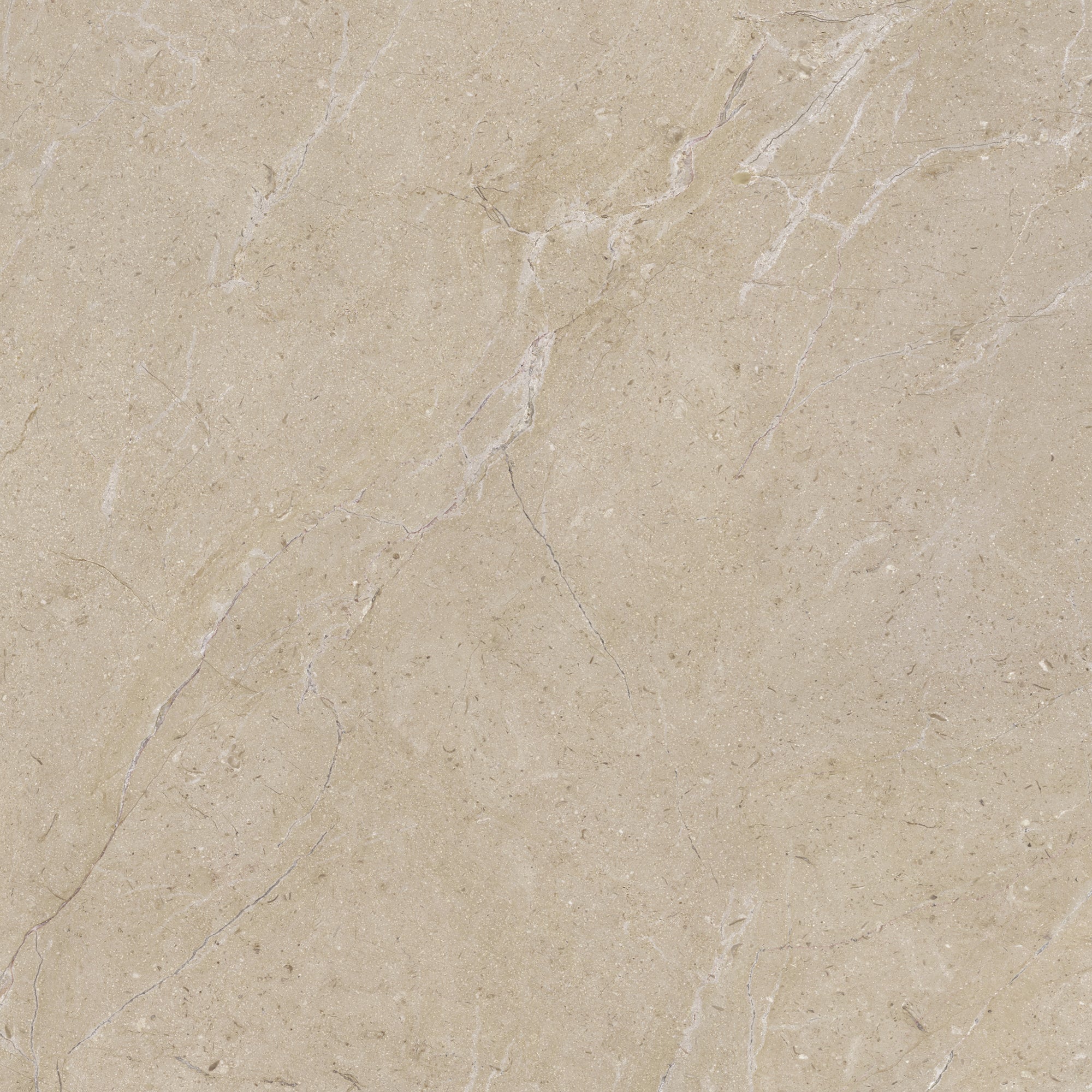 Loseta Porcelanite Bernini FD 60X60 Beige 1.44 1A - NUEVA PRUEBA